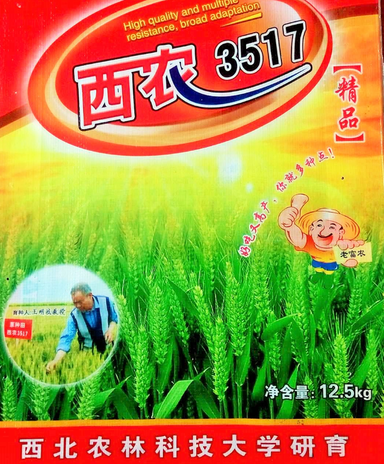 西農(nóng)3517